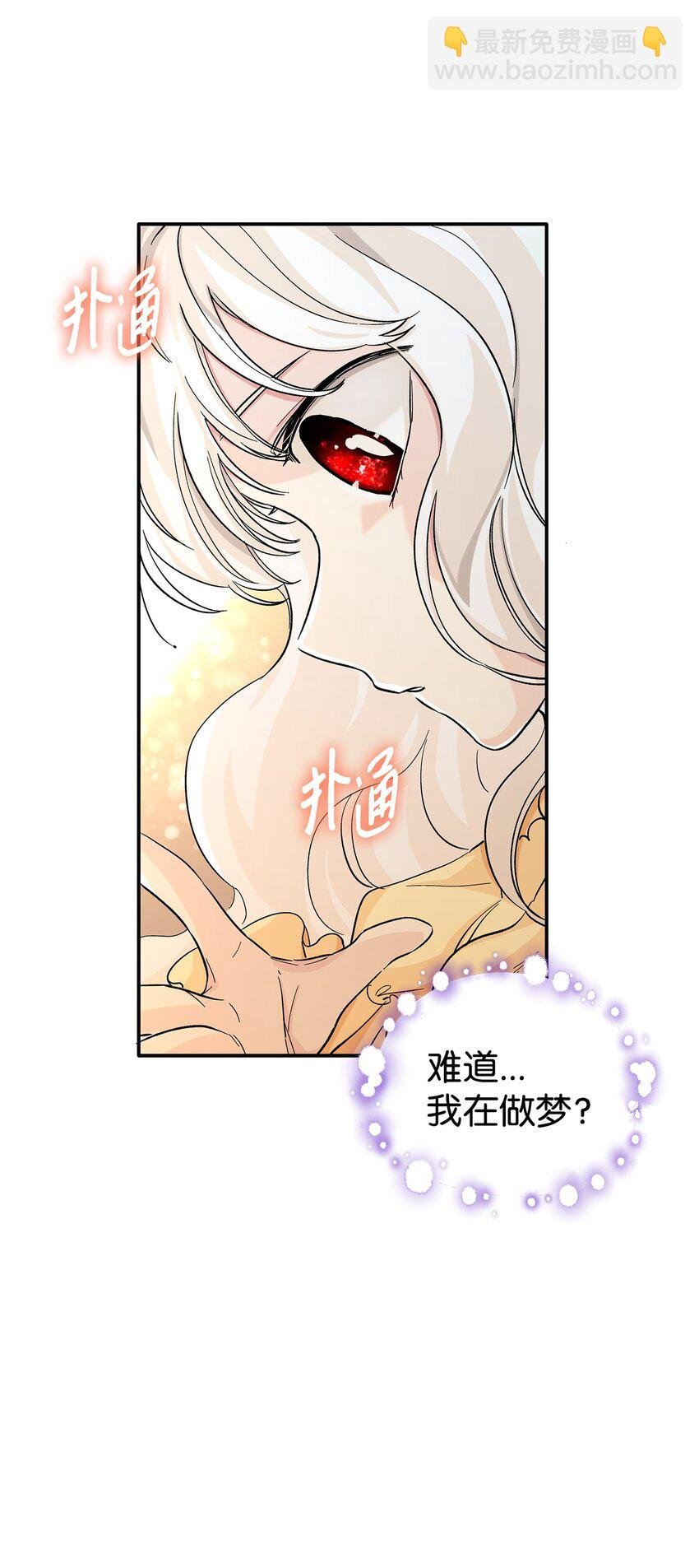 01 悲惨的命运