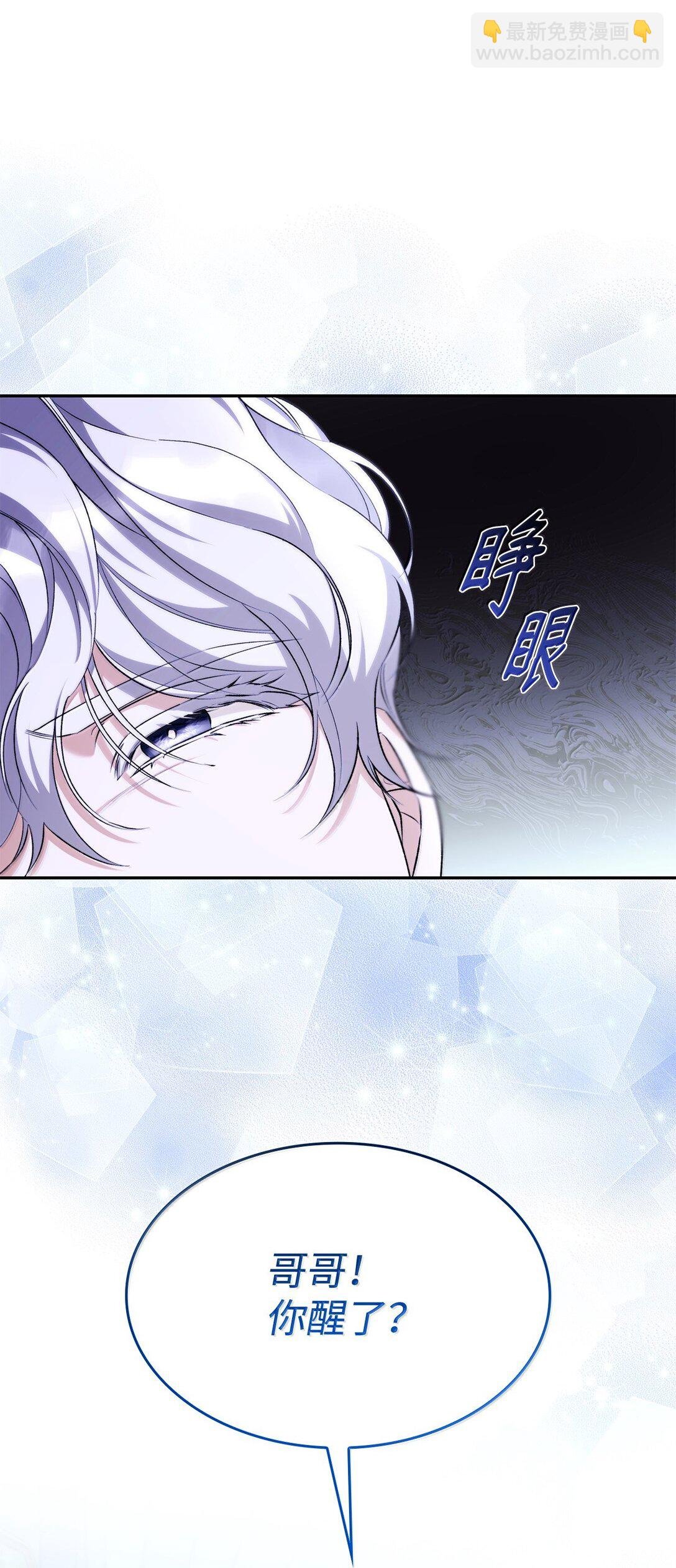 73 机智两兄弟