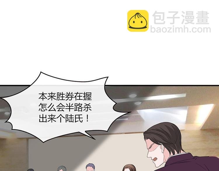 第13话 要和陆氏搭上线