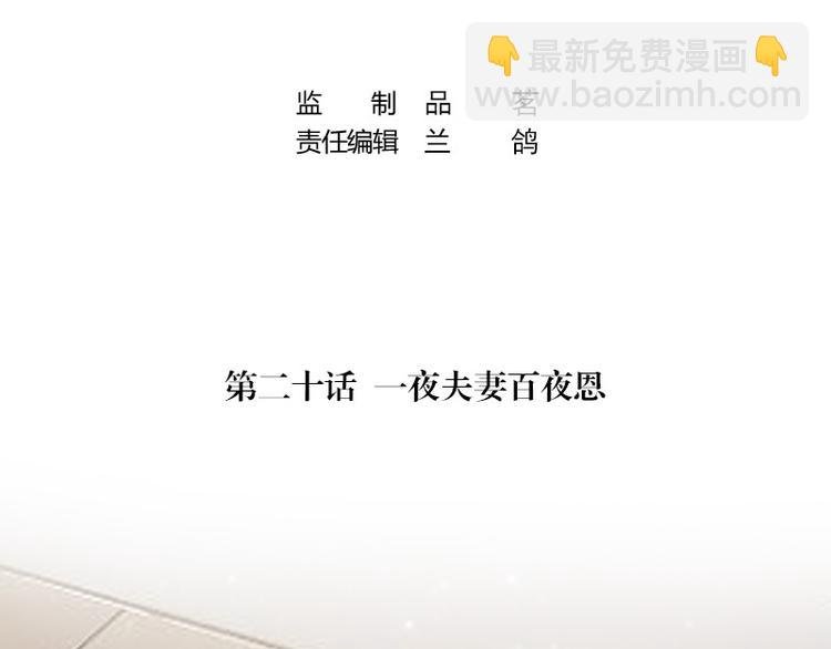 第20话 一夜夫妻百夜恩