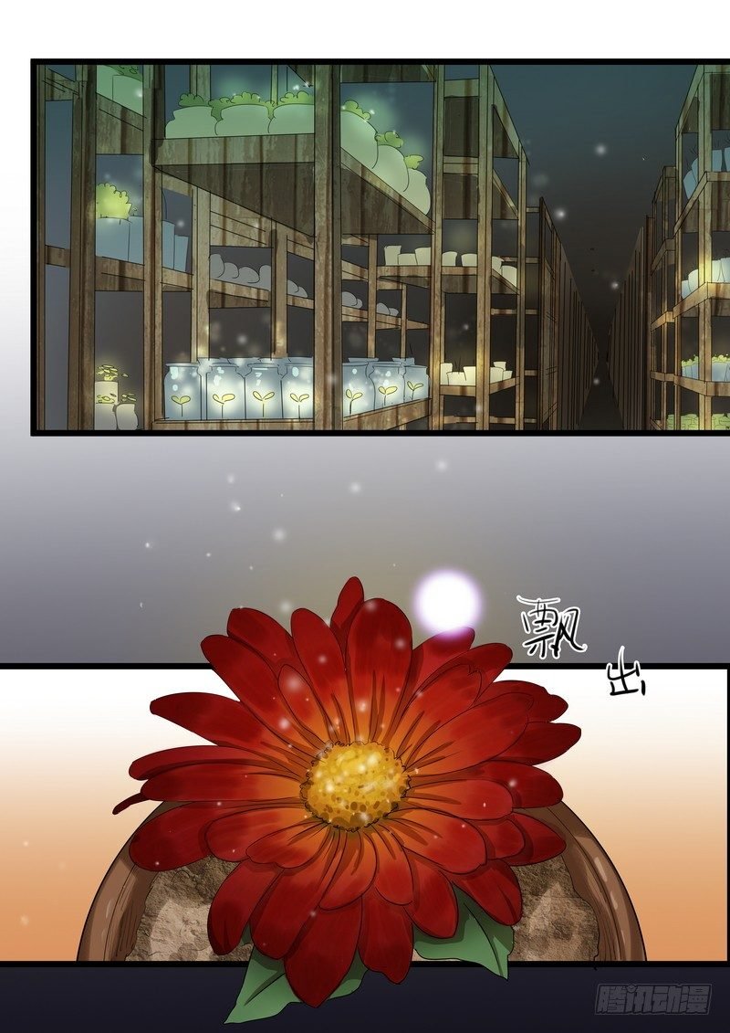 第五话：平宛的决定