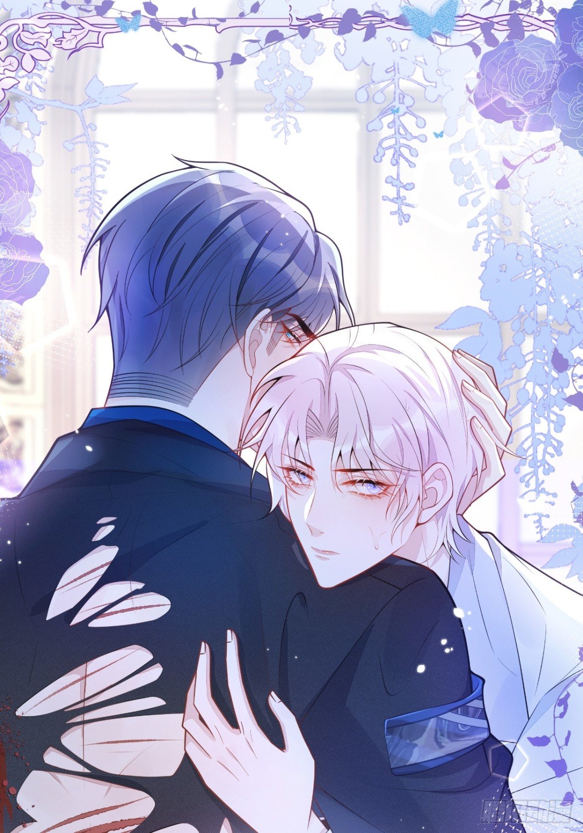 12-花孔雀。