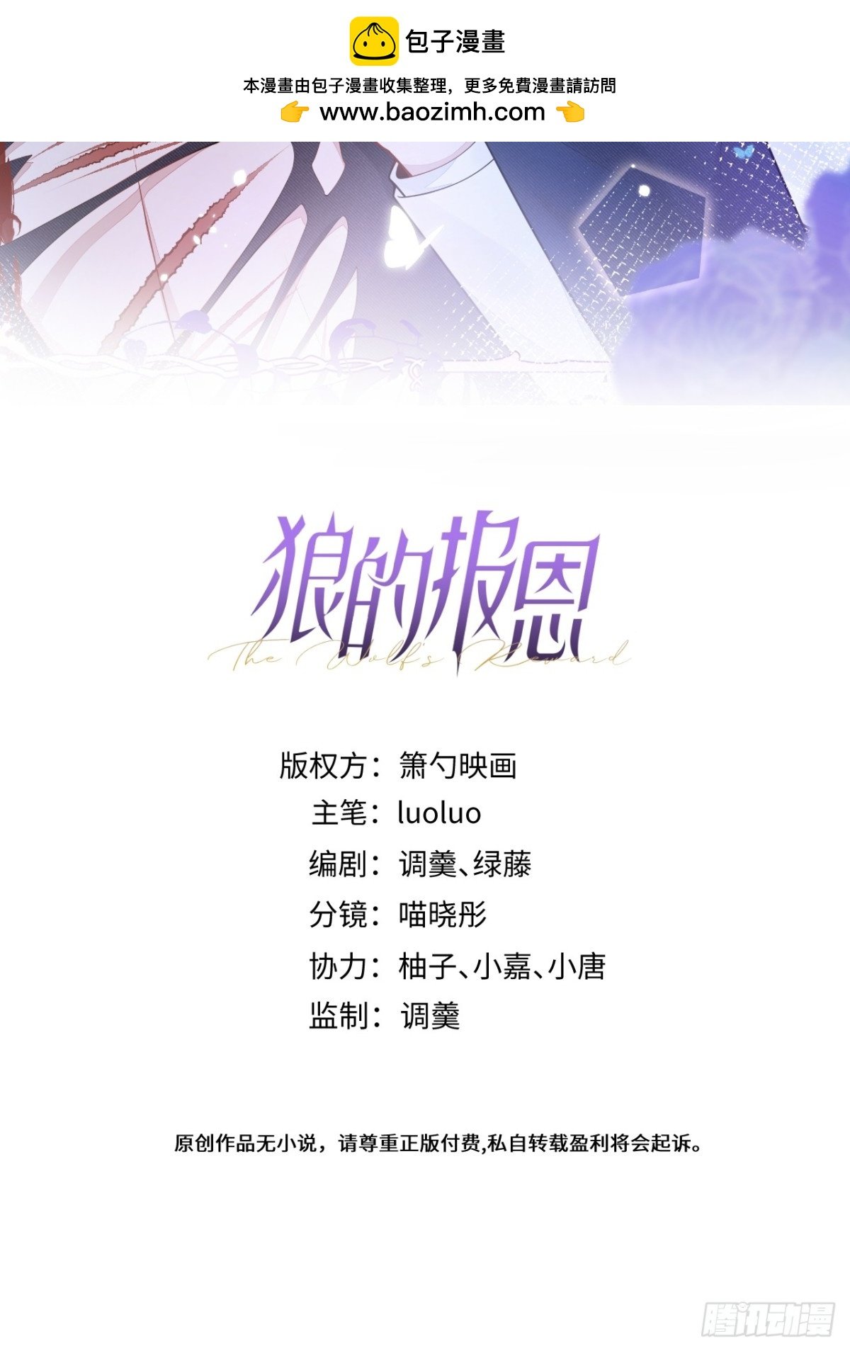 12-花孔雀。