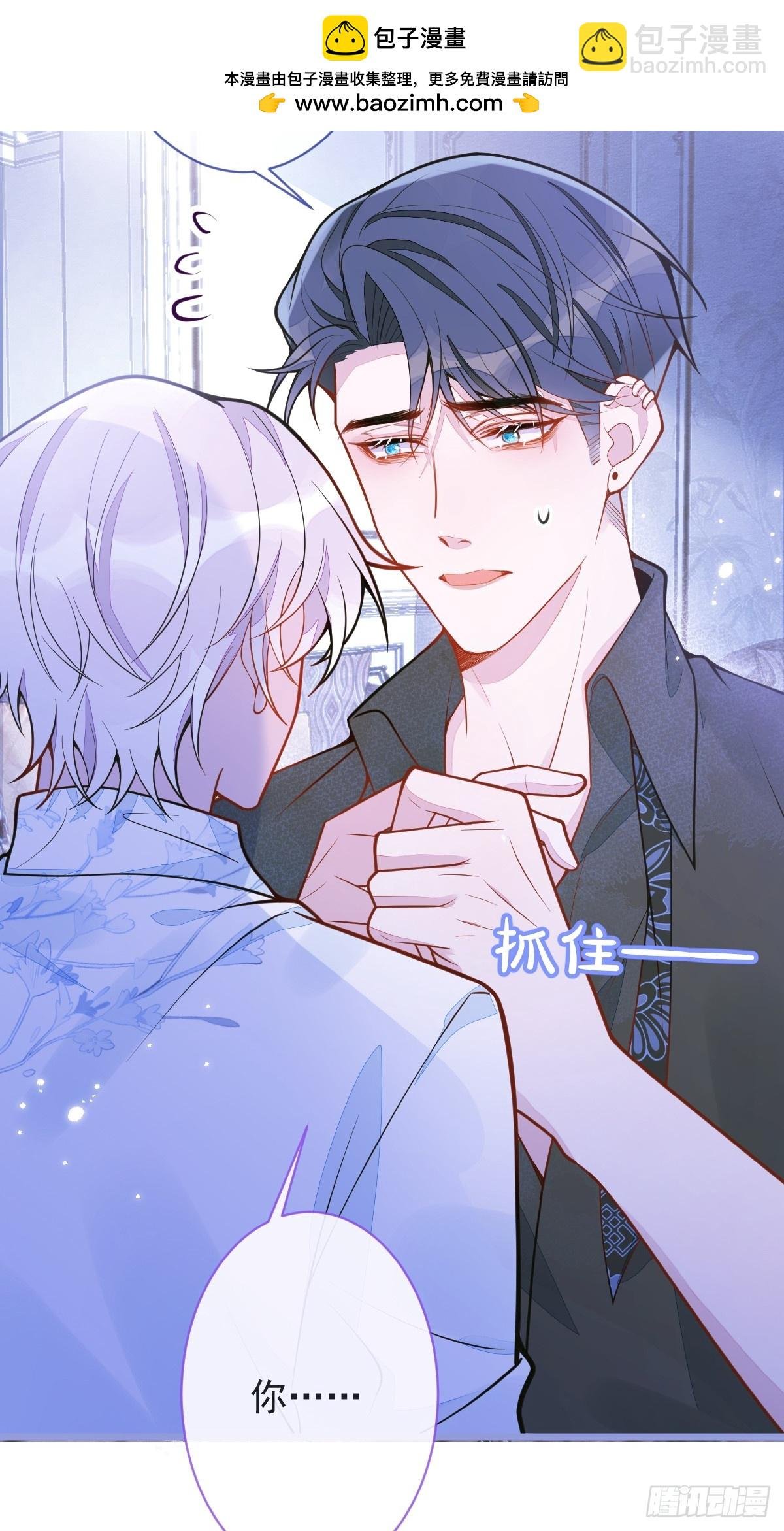 12-花孔雀。
