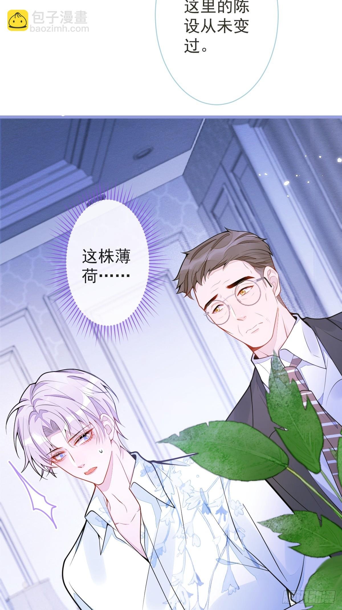12-花孔雀。