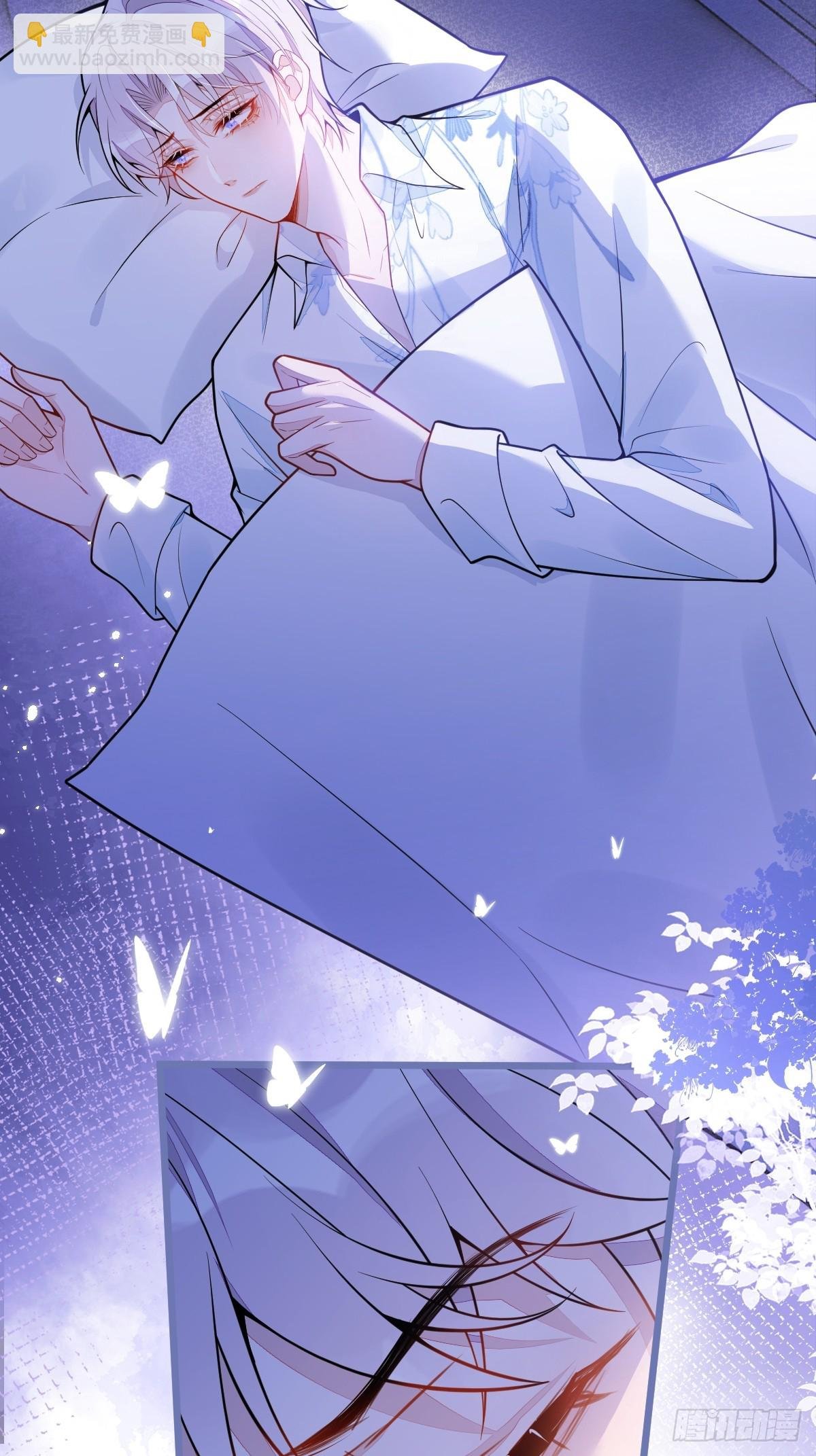 12-花孔雀。