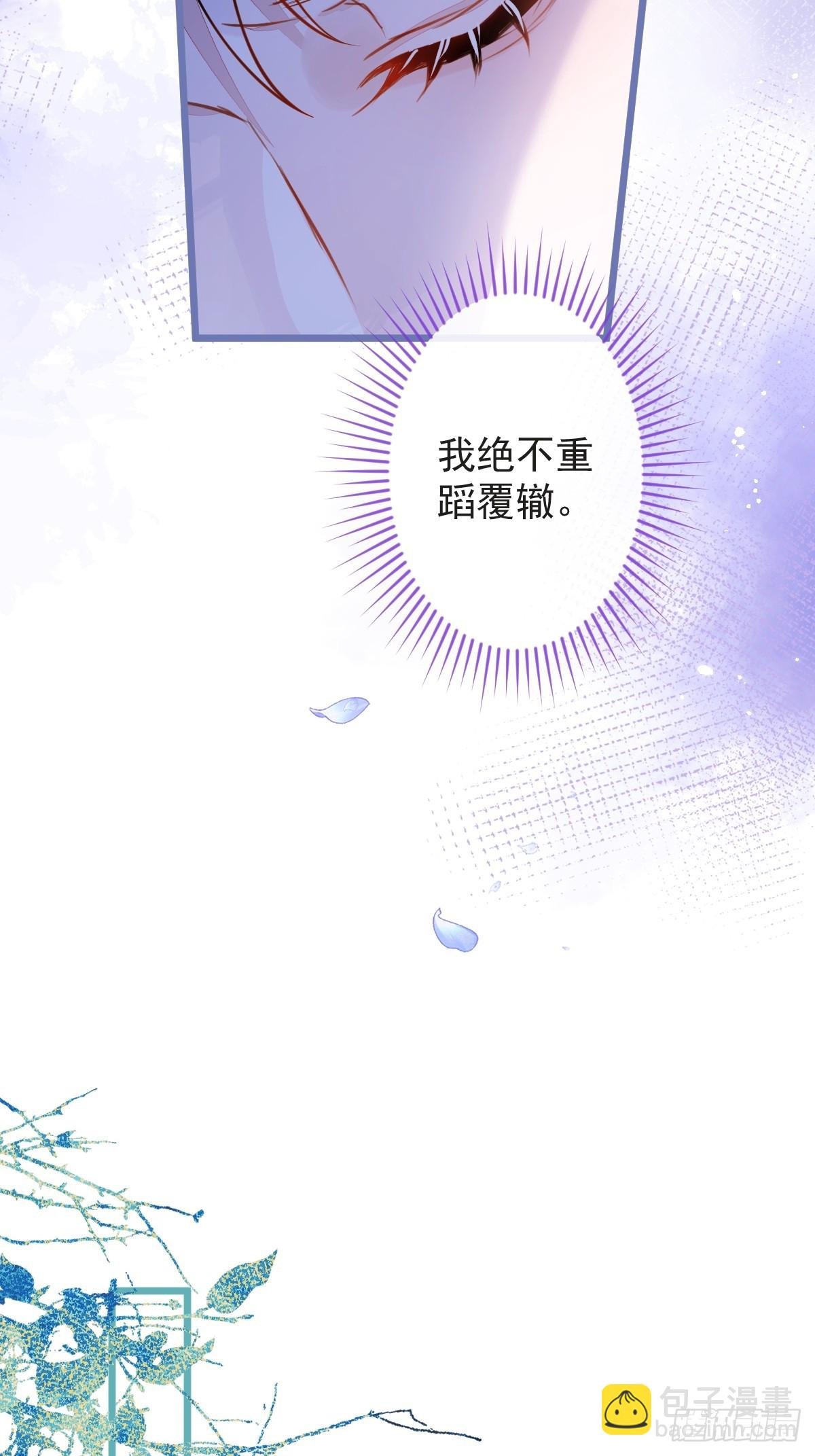 12-花孔雀。