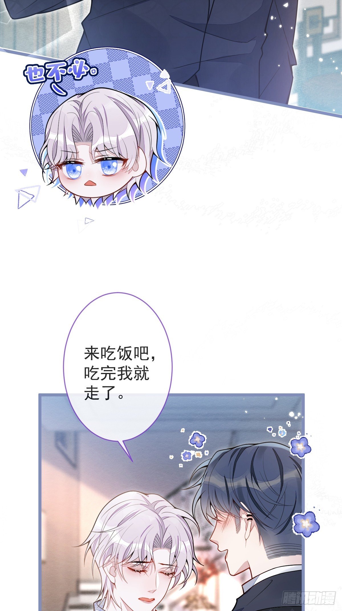 12-花孔雀。