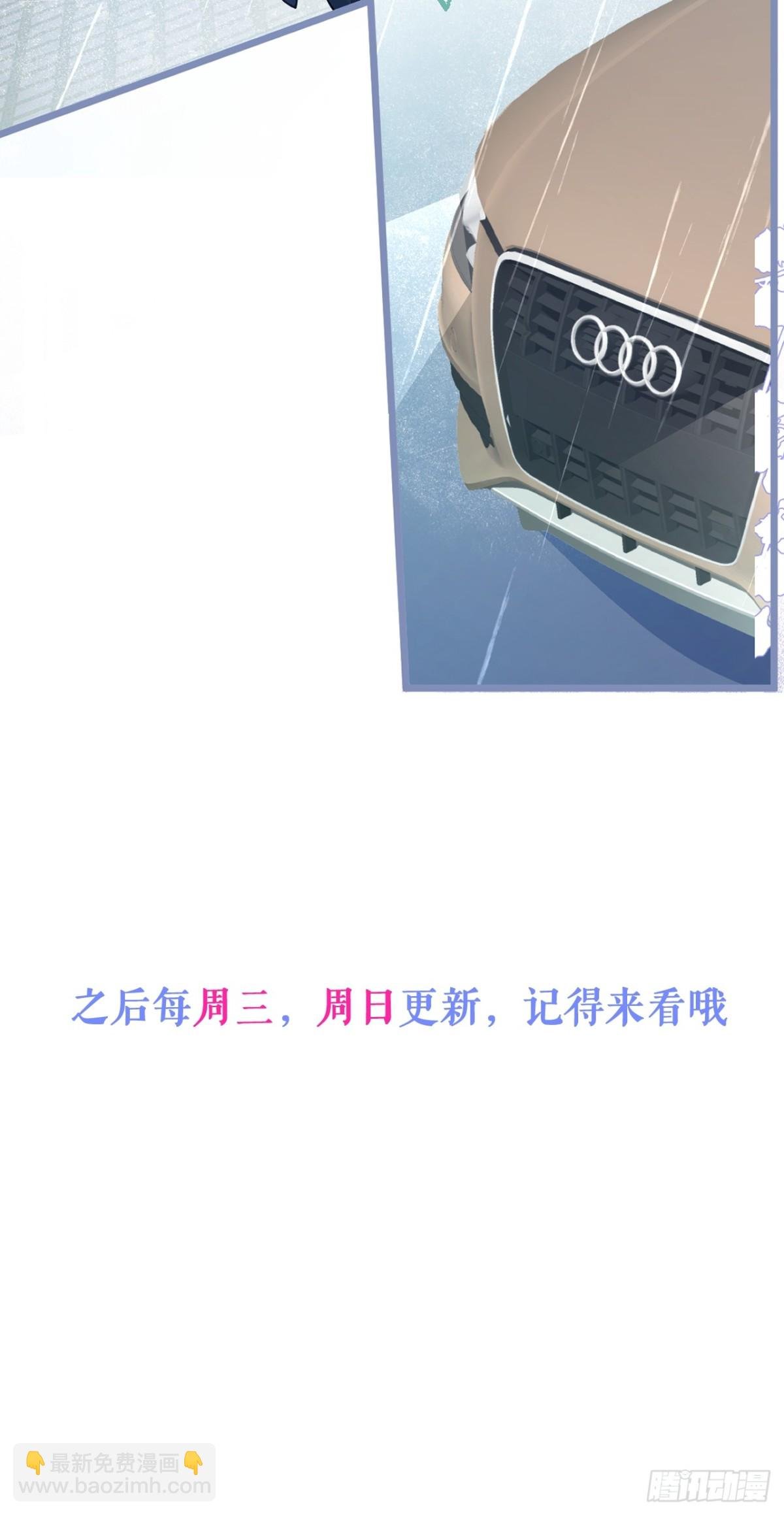 12-花孔雀。