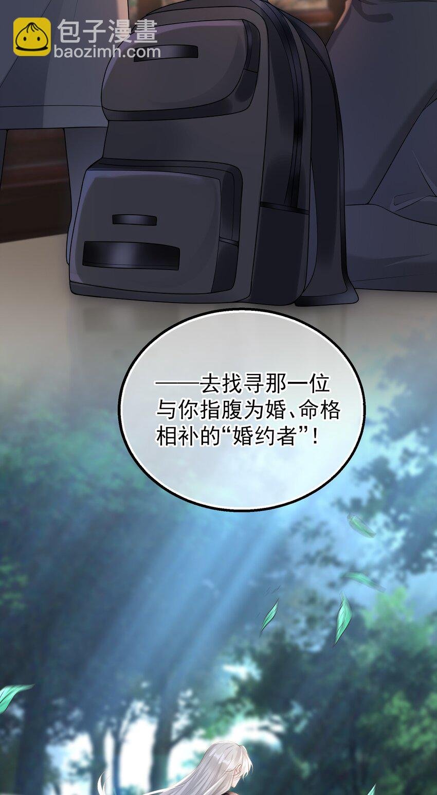 005 怎么好像看到了猎豹？！
