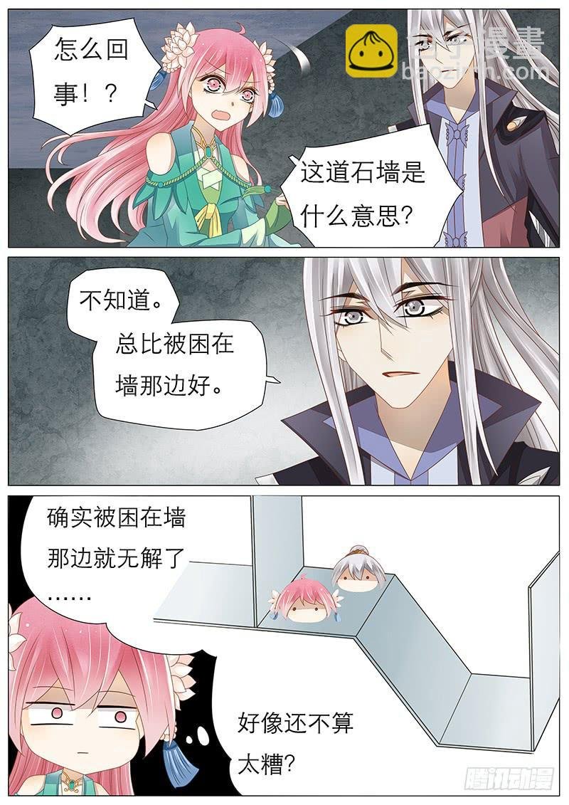 31 这种事我早就习惯了!