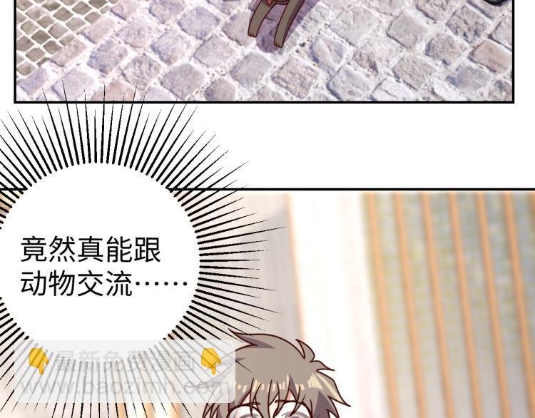 第34话 驯服
