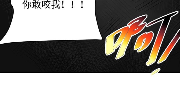 第34话 驯服