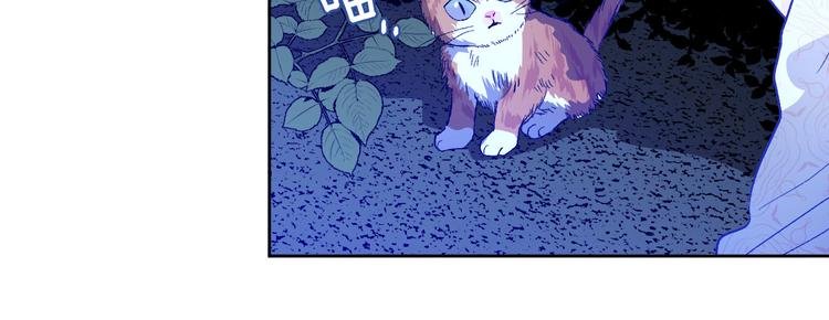 第44话 私会
