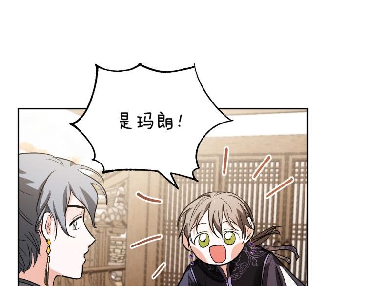 第47话 谁能当宠后？