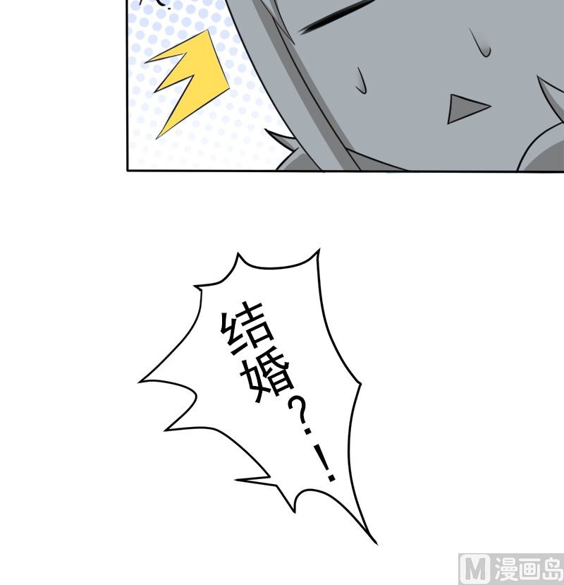 挡箭牌