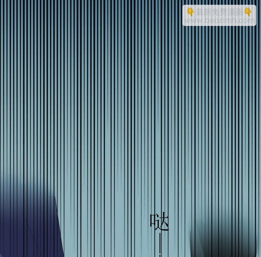 小野猫