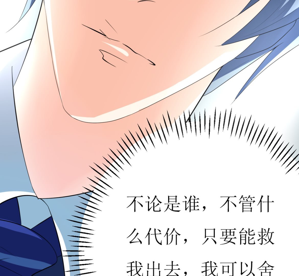 小野猫