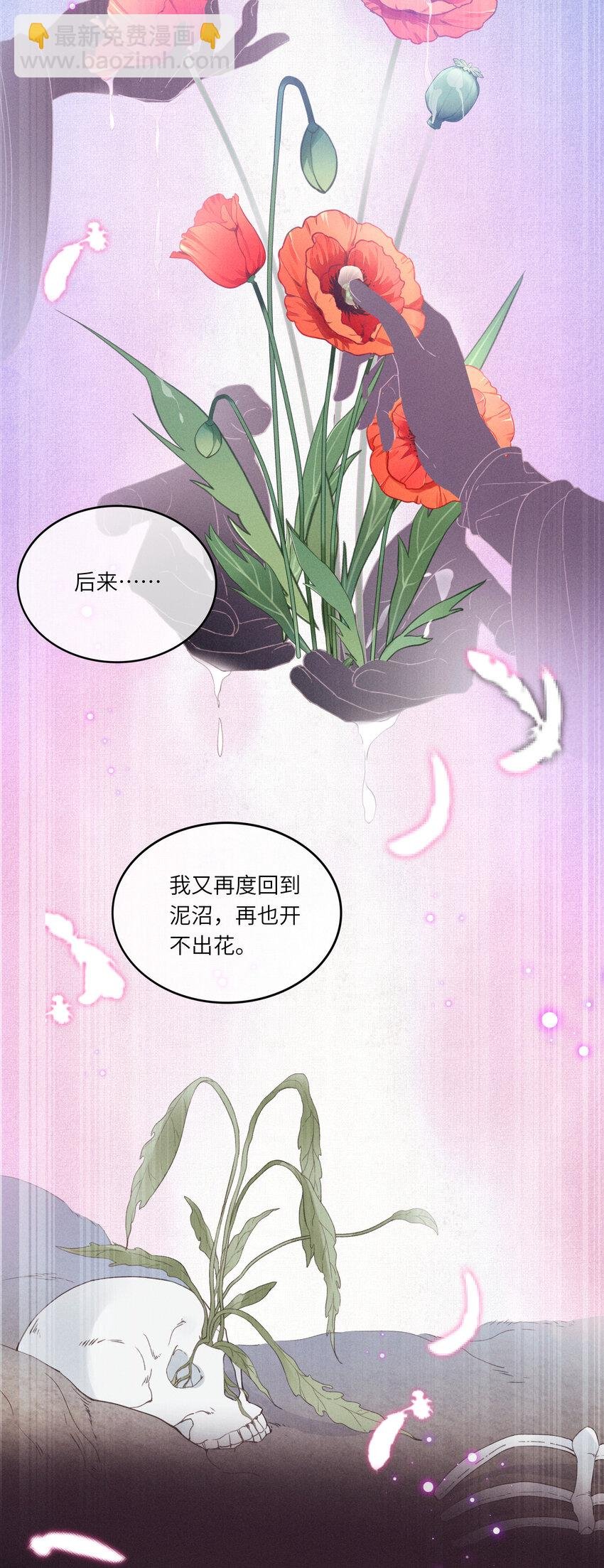 61 赏花