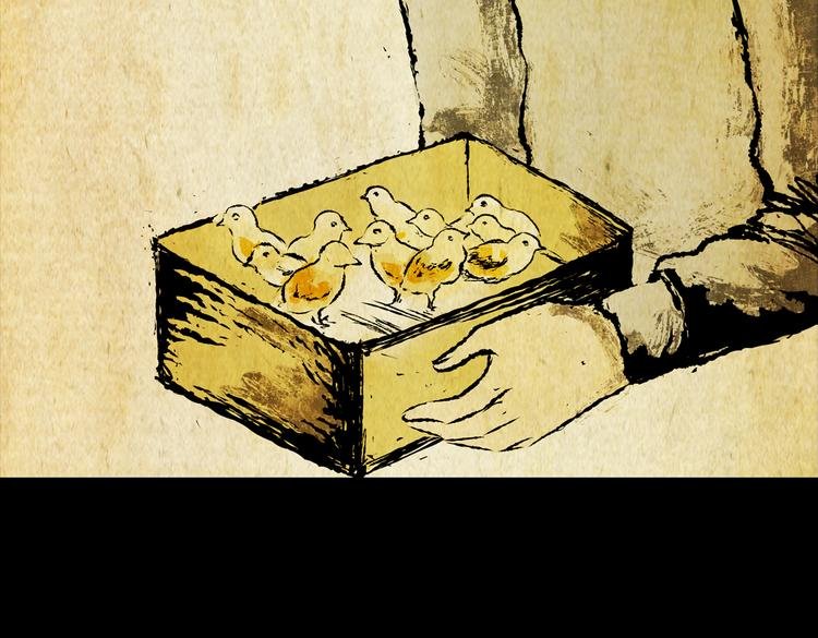 环形恐惧（完）