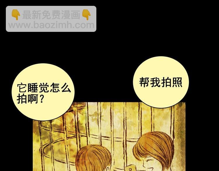 环形恐惧（完）