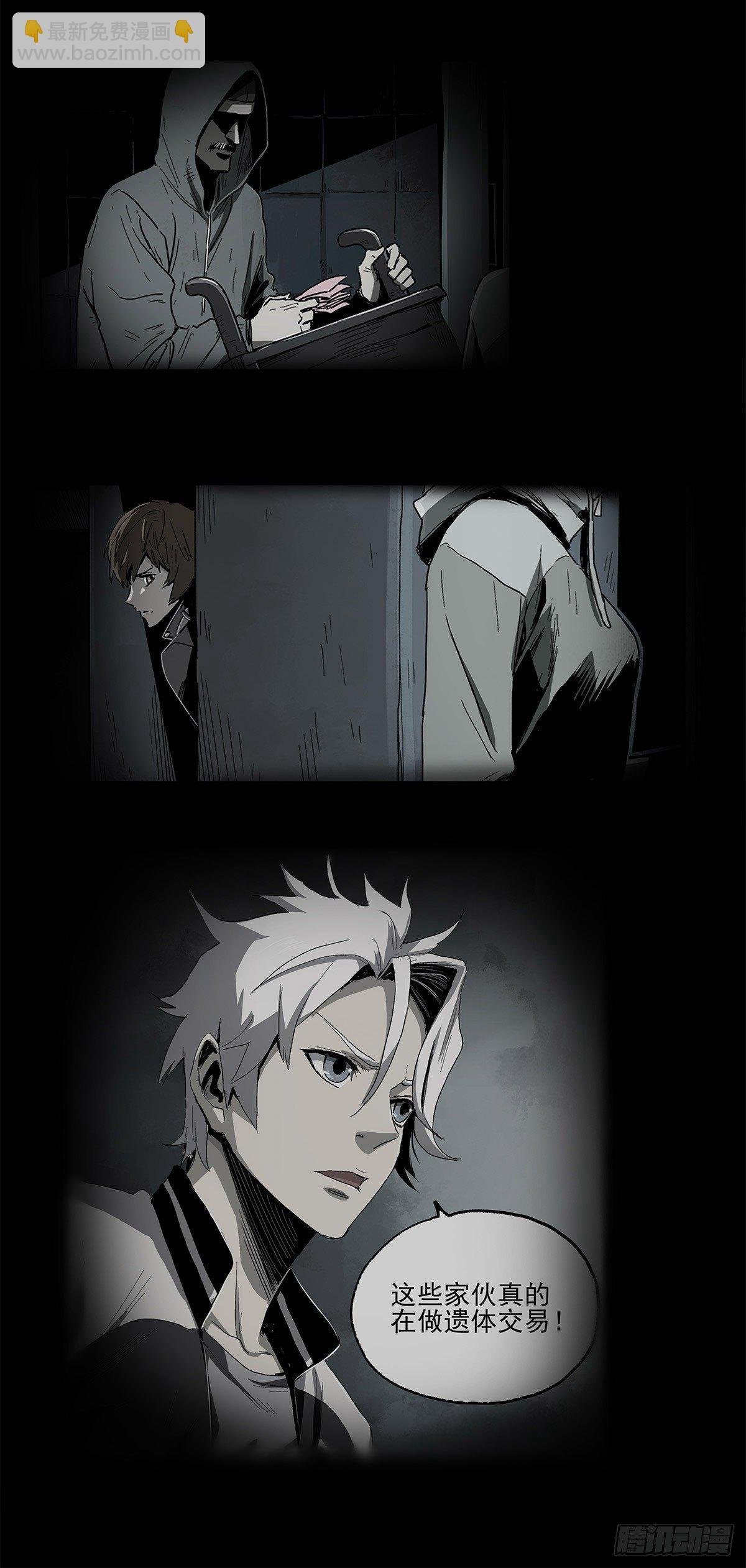 35.猫女