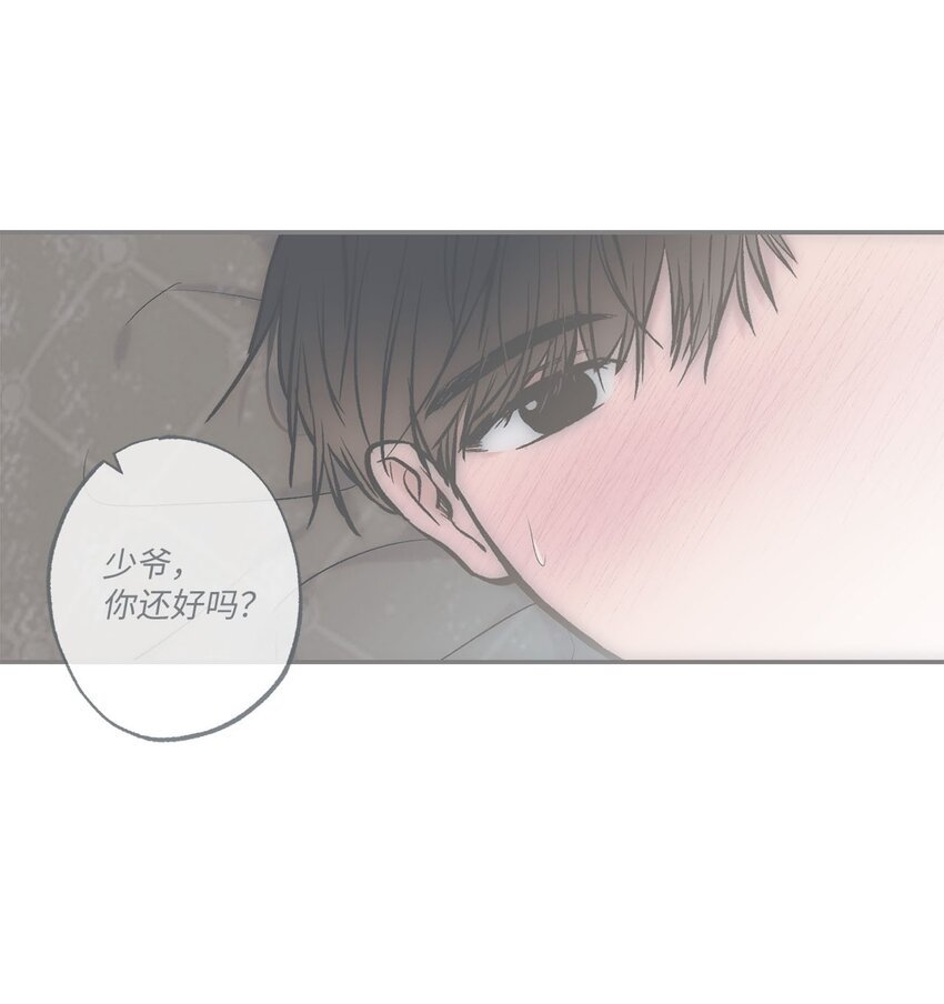 53 星云发高烧