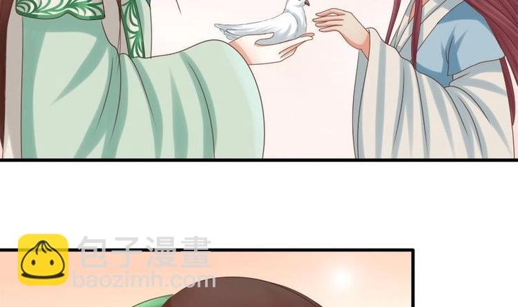 第13话 信鸽