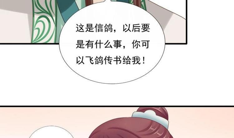 第13话 信鸽