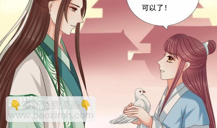 第13话 信鸽
