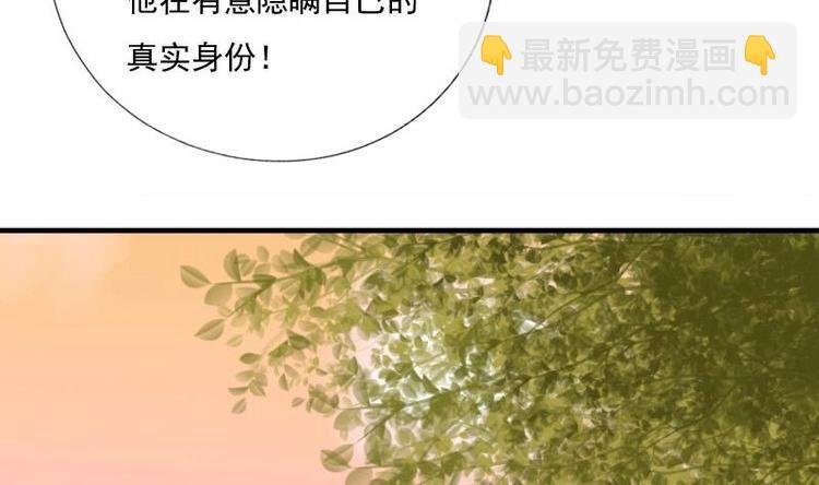 第13话 信鸽