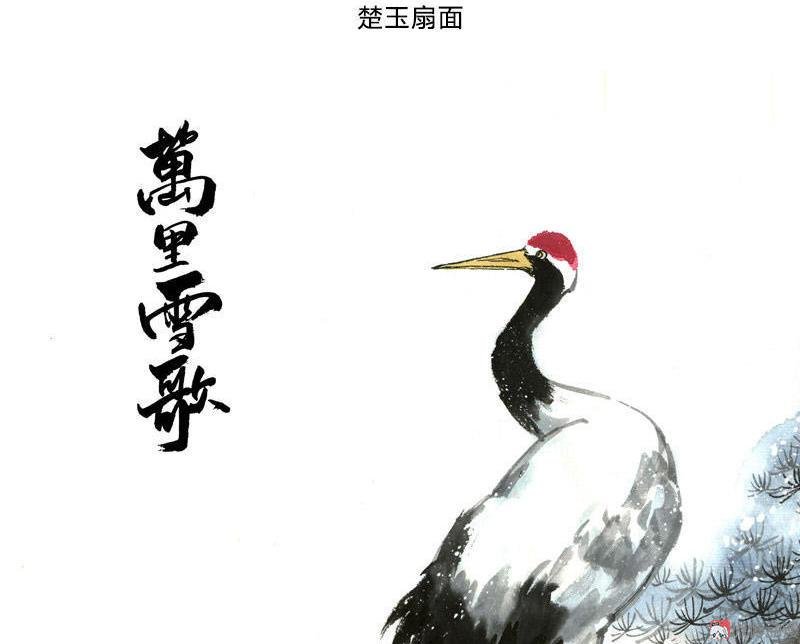 第28话 惺惺相惜（中）
