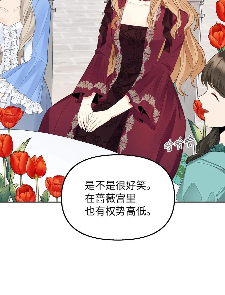 20 庭院茶会