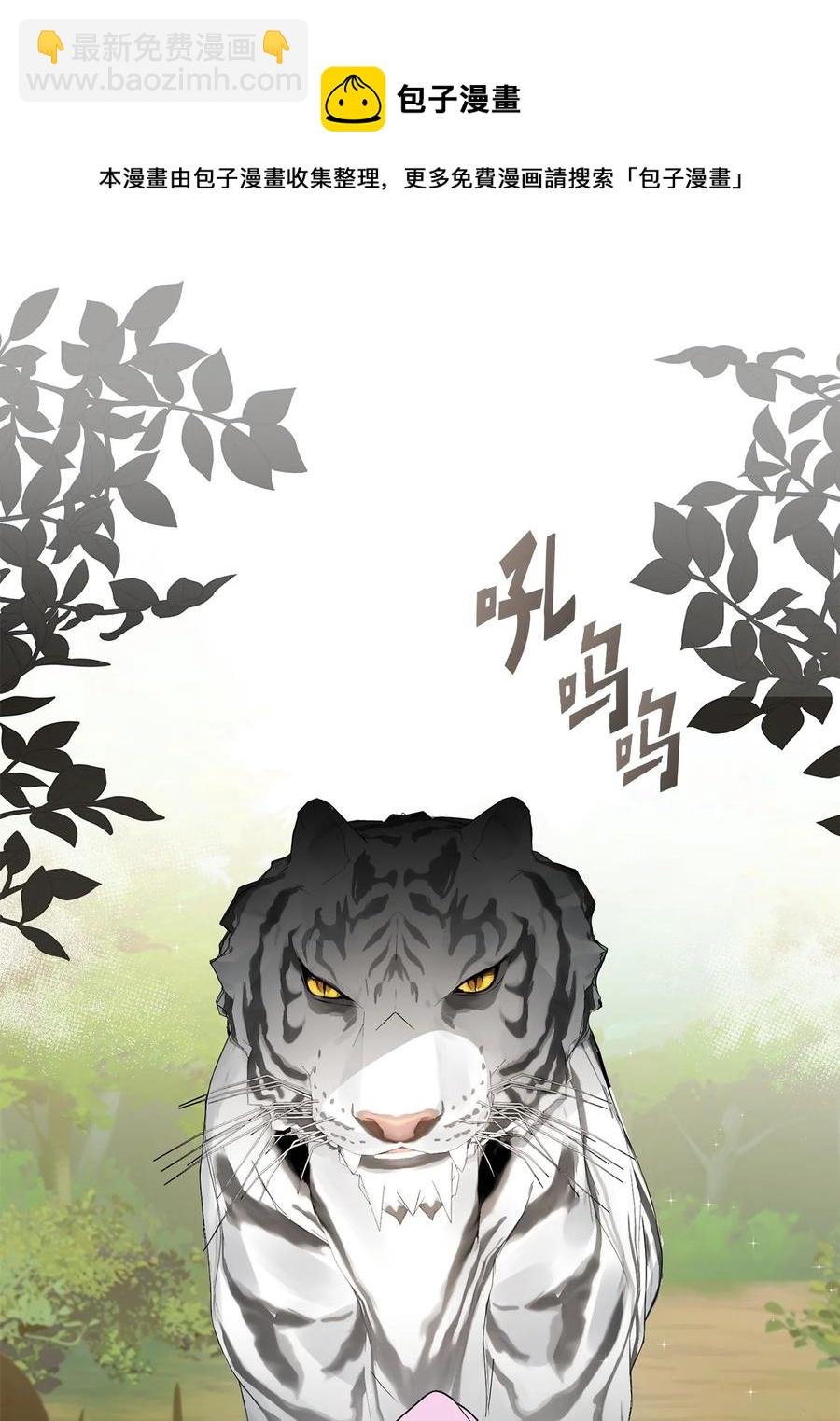 24 白虎