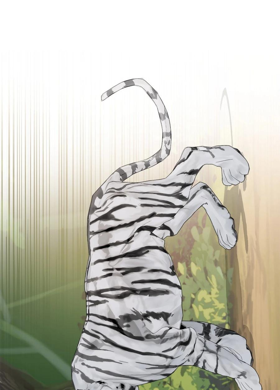 24 白虎