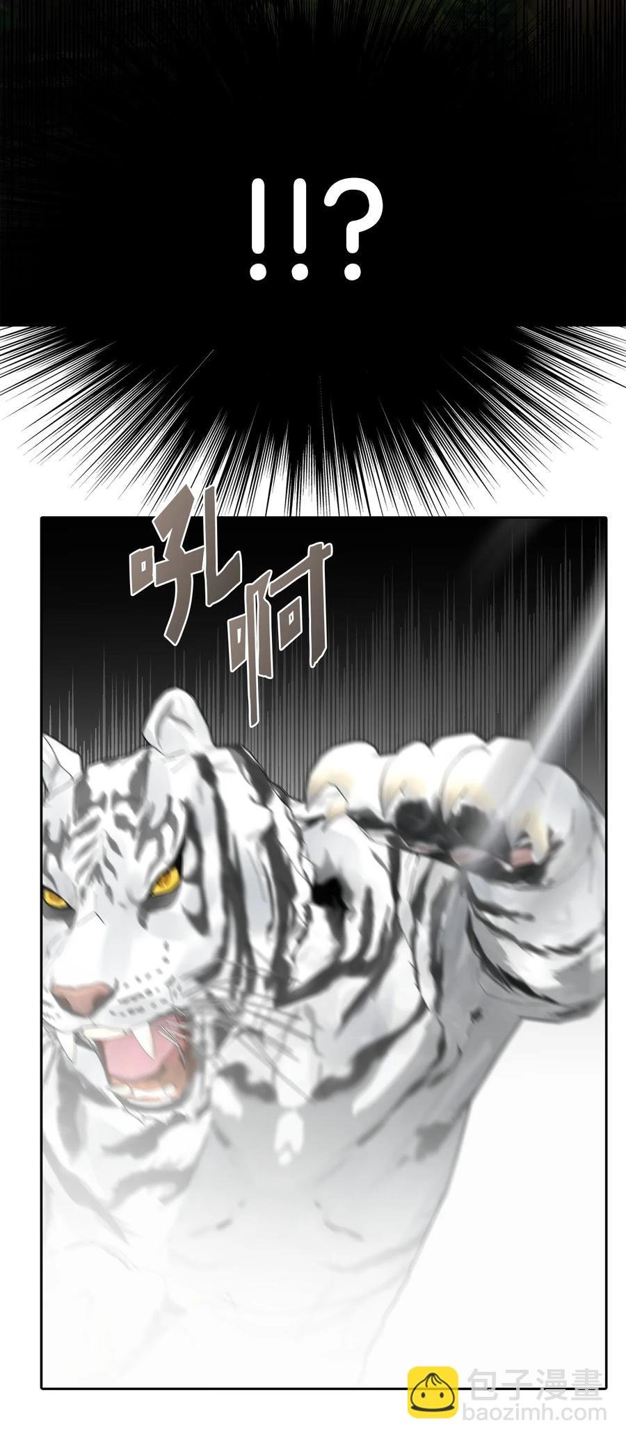 24 白虎