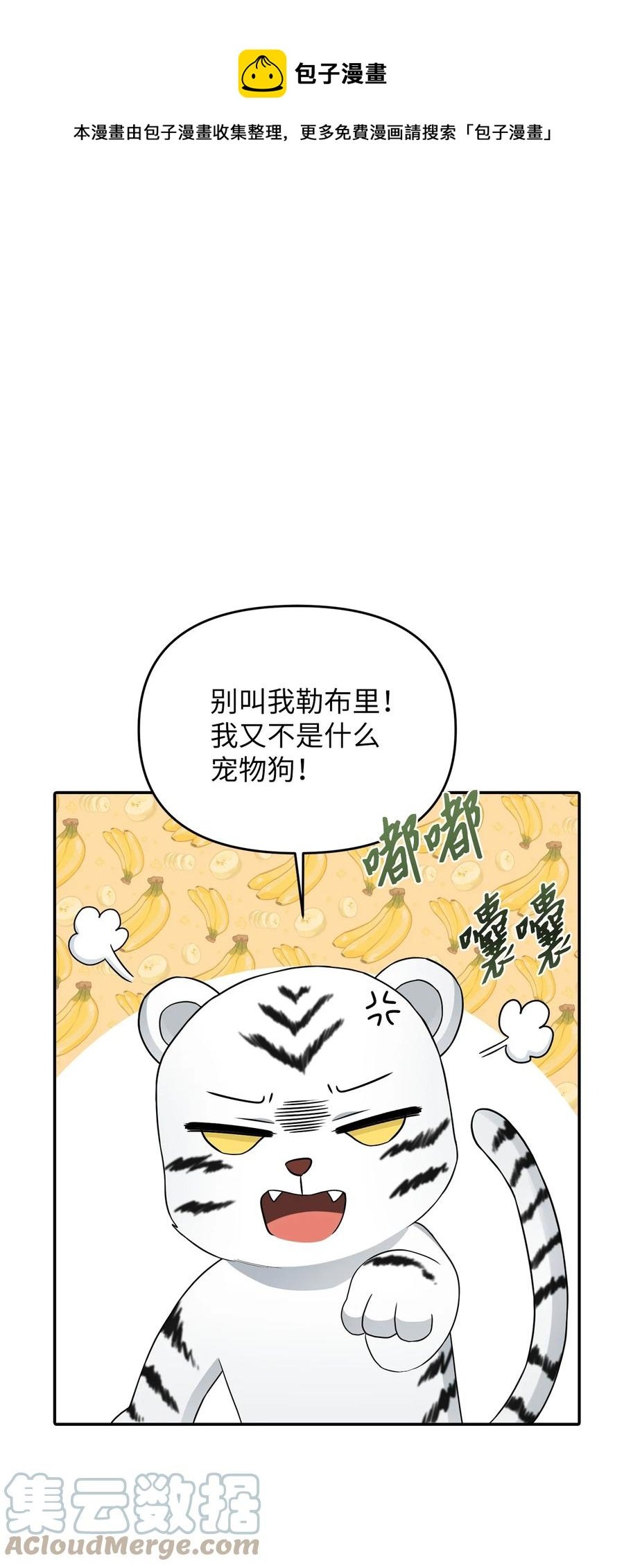 29 想要开店