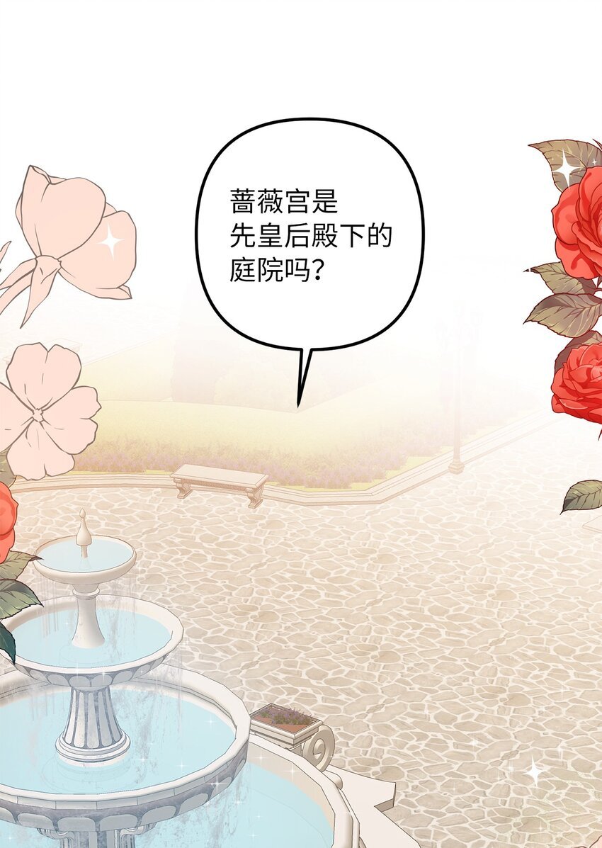 52 托付蔷薇花