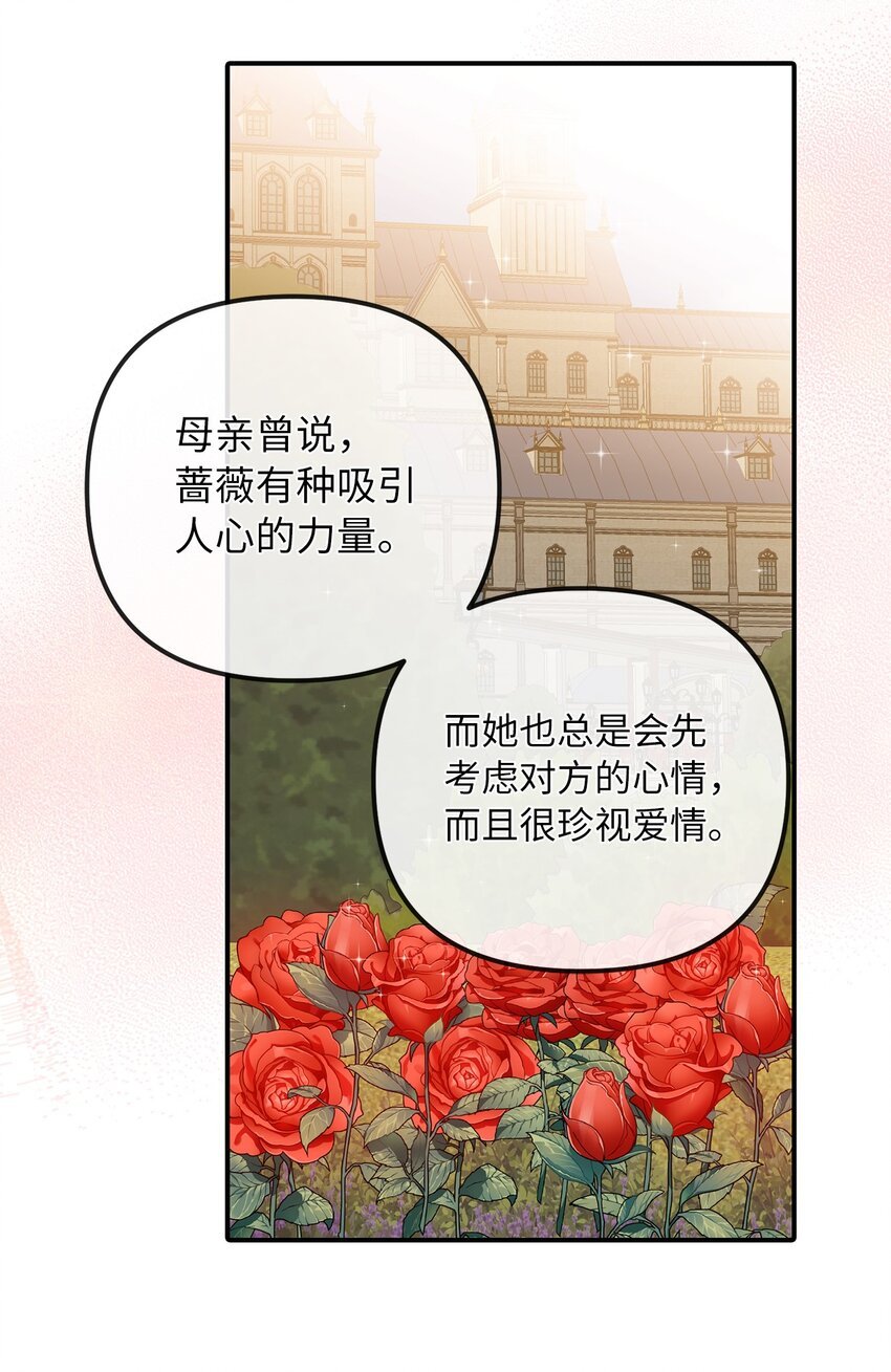 52 托付蔷薇花