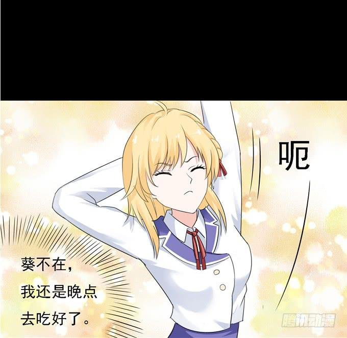 13-喜欢什么，就去做什么！