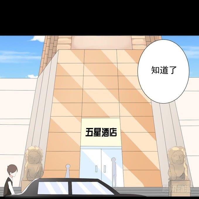 15-夏辰的亲生母亲？