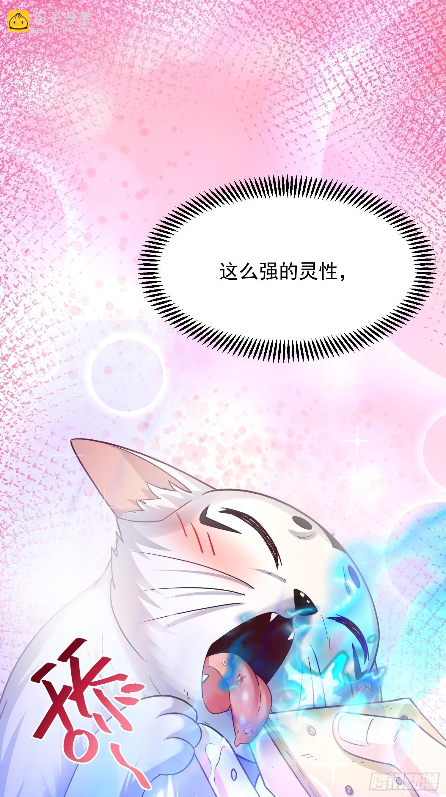 第7话 白虎为宠