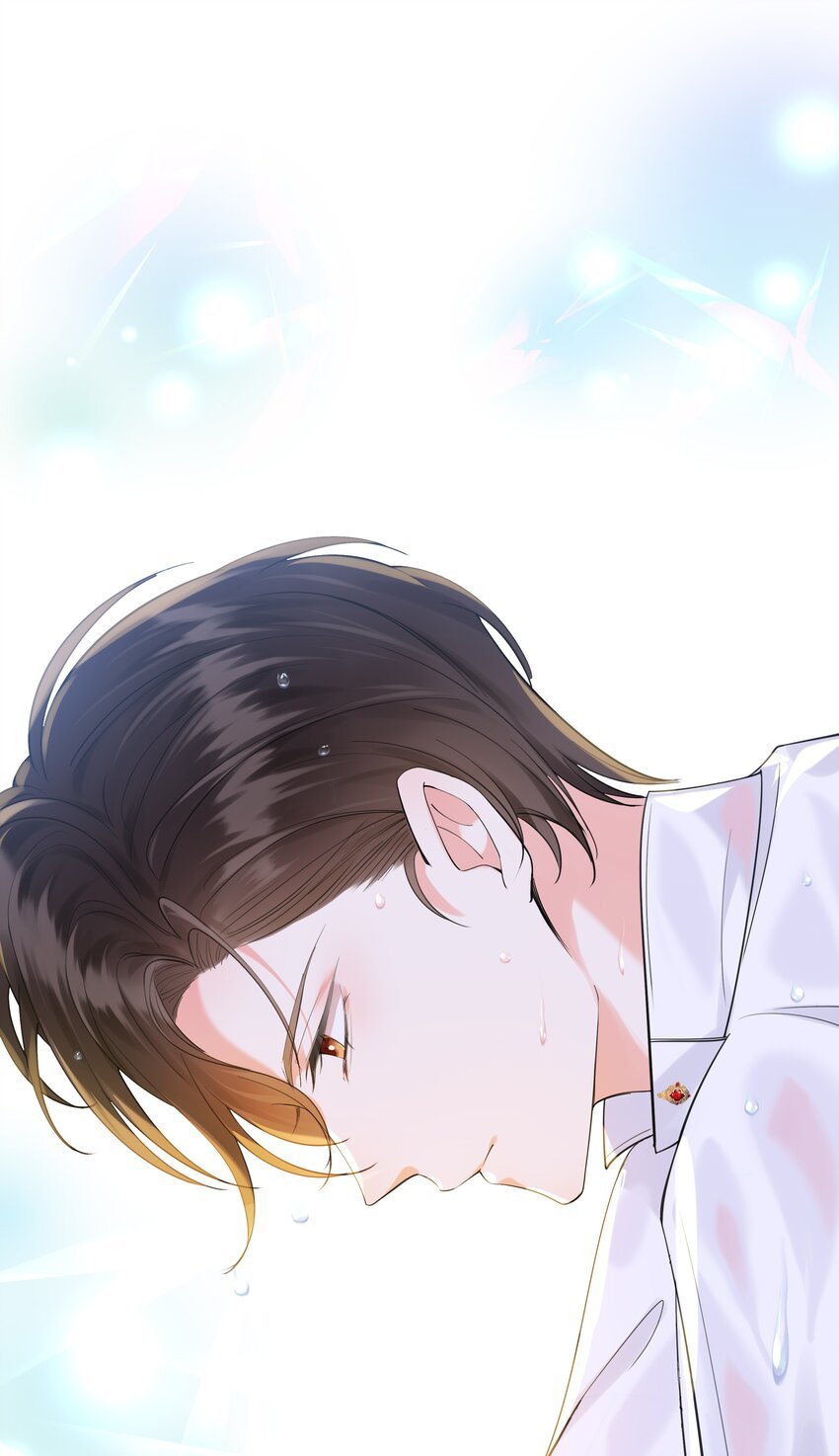 002 霍兰德伯爵