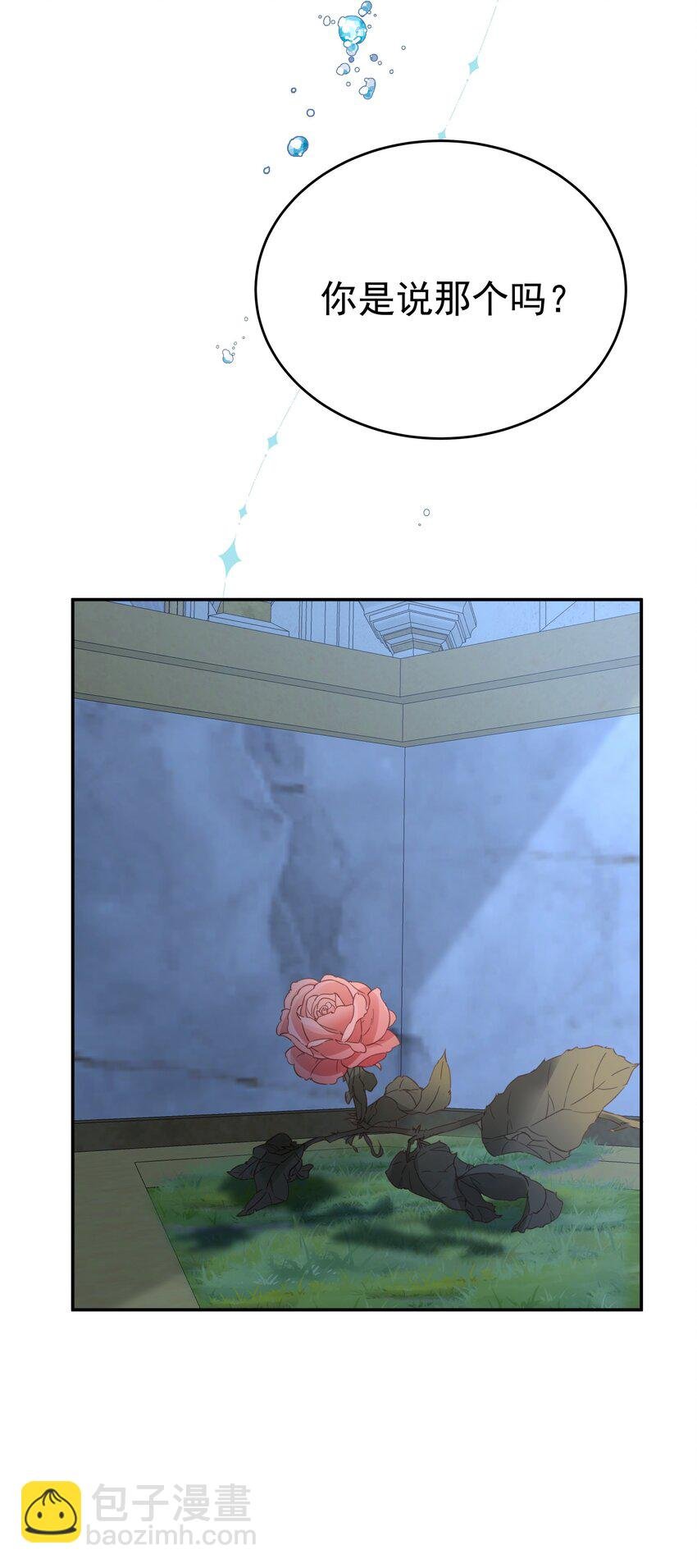008 一见钟情