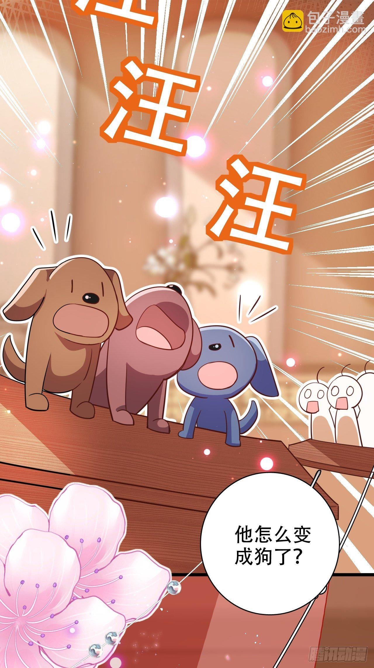 凌霄公子竟在奶奶面前大跳艳舞！