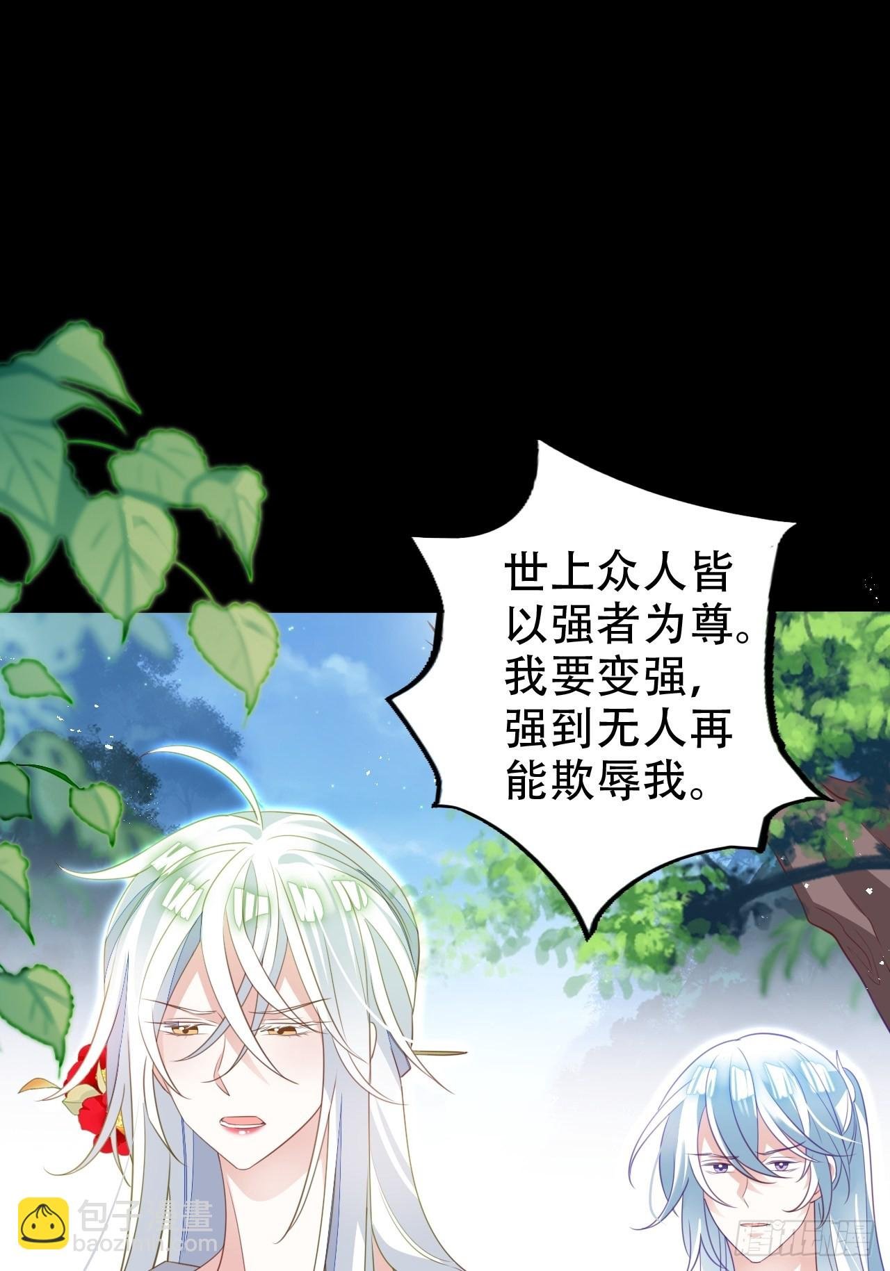 鸾凤宗的百合花都开好了