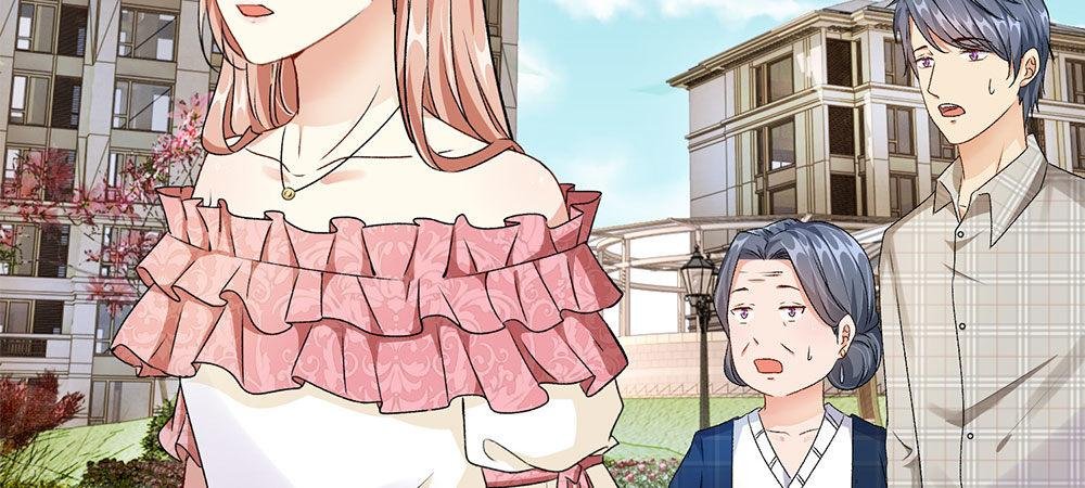 第12话 婆婆撞了车要赔20万