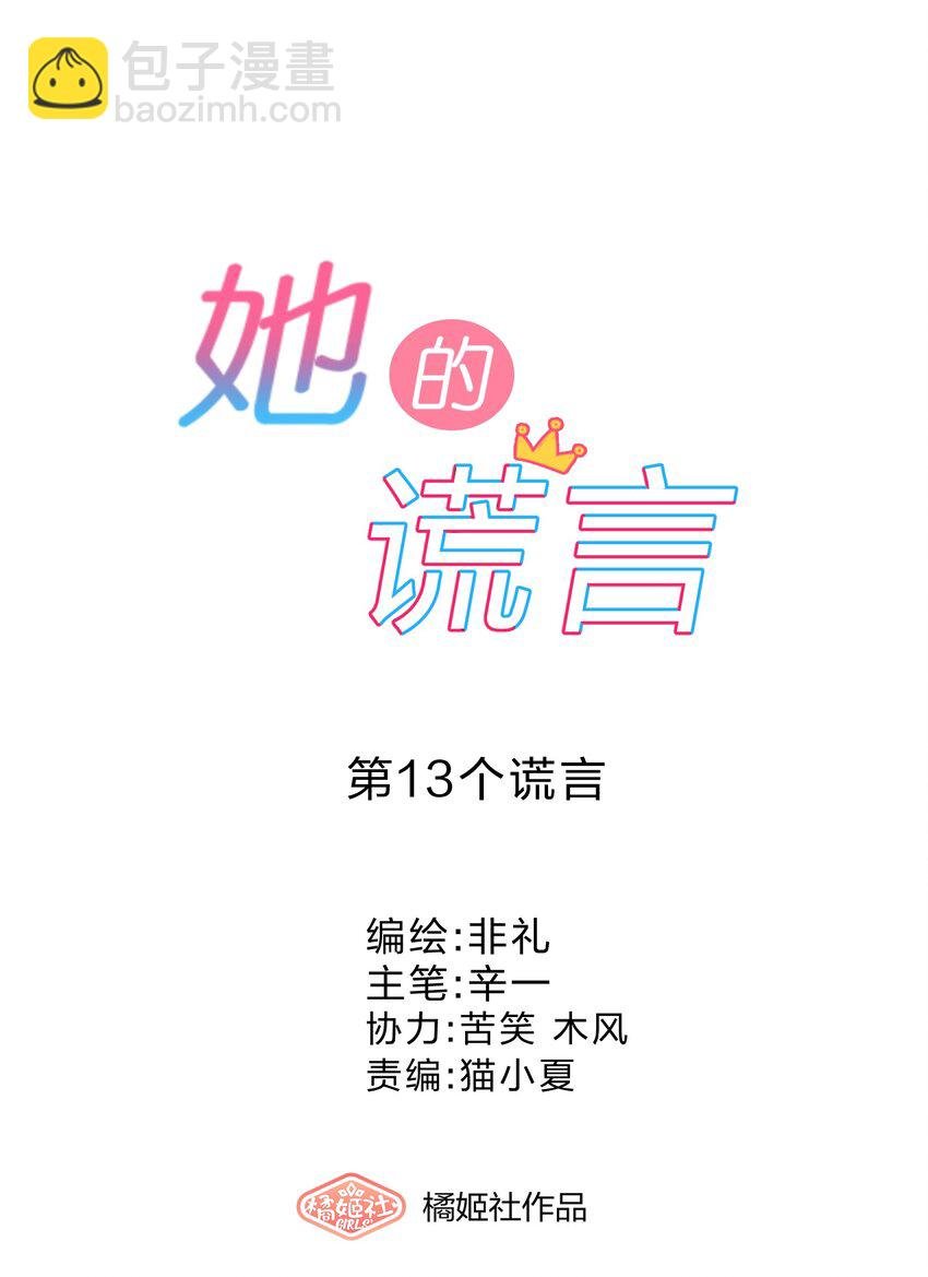 013 第13个谎言