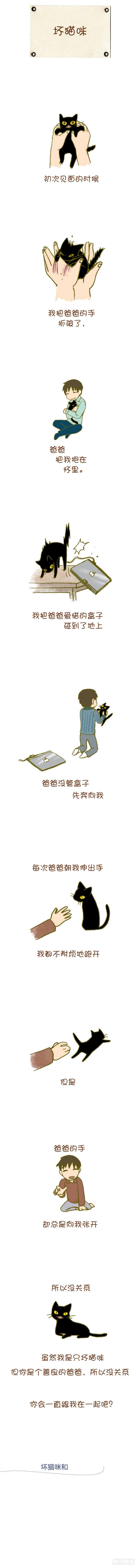 37.坏猫咪