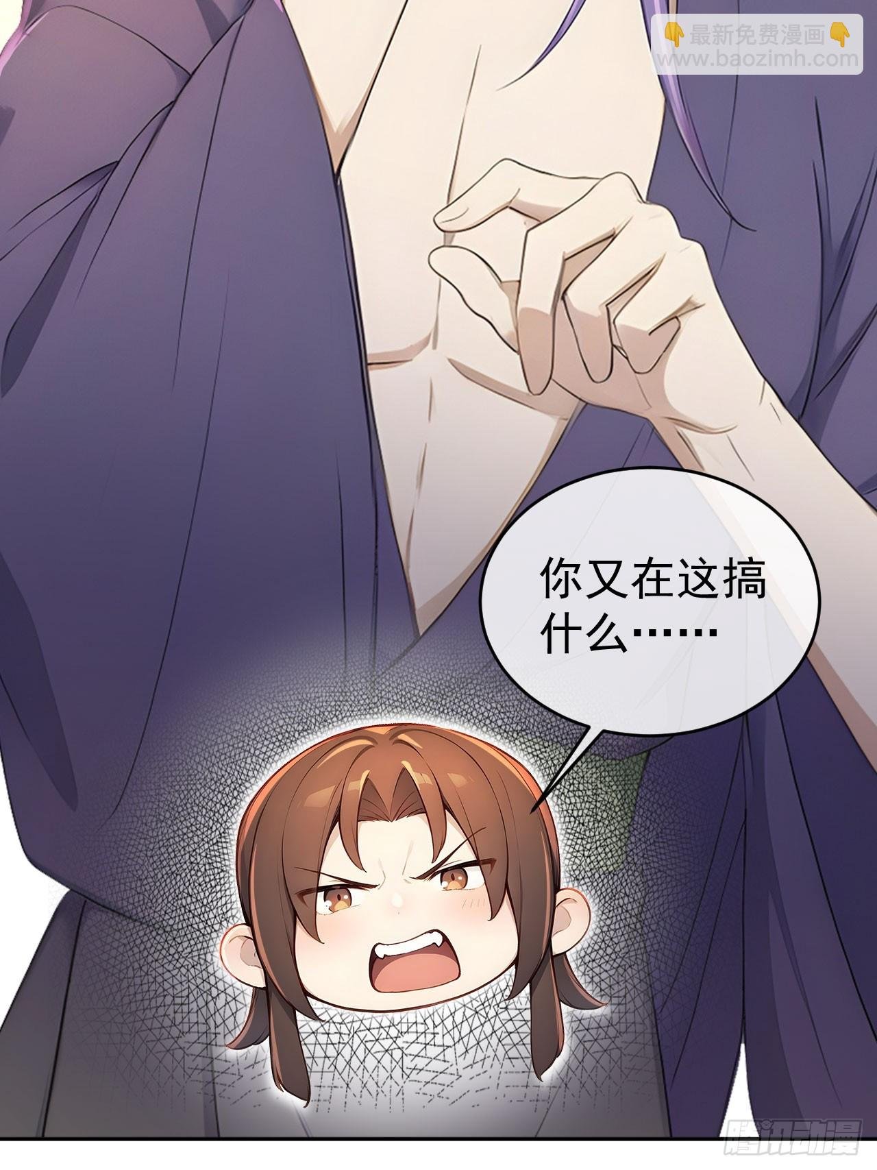 51 红杏夫人
